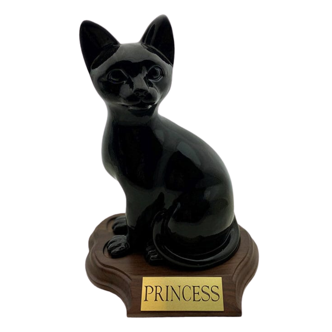 black faithful feline